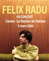 Félix Radu - Le Rocher de Palmer