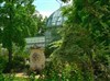 Contes (pas si) traditionnels sous les palmiers - Serres du jardin d'Auteuil