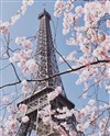 Paris sera toujours une fête - Théâtre du Nord Ouest