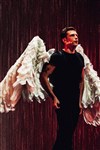 Étienne Daho, Raphaëlle Delaunay et Sandra Gaudin, Arnaud Valois : Le vilain petit canard - Chaillot - Théâtre National de la Danse / Salle Gémier