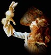 Alice(S) d'après Lewis Carroll - Théâtre aux Mains Nues
