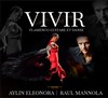 Vivir Flamenco - Théâtre le Passage vers les Etoiles - Salle des Etoiles