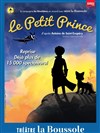 Le Petit Prince - Théâtre La Boussole - grande salle