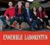 Sylvain Kassap Avec L'ensemble Laborintus - Le Comptoir