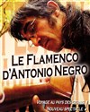 Antonio Negro - La Reine Blanche