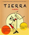 Tierra : Flamenco - Théâtre de Nesle - grande salle 