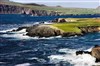 L'âme de l'Irlande - Saint Patrick's Ballon vert