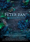Peter Pan, la prophétie de l'oubli - Espace Magnan