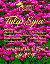 Gang Reine dans Tulip'sync - Le Darcy Comédie