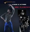 Aire Flamenco - Théâtre Clavel