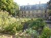 Visite guidée : Le jardin médiéval - Métro Cluny La Sorbonne