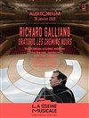 Richard Galliano - Les chemins noirs - La Seine Musicale - Auditorium Patrick Devedjian