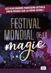 Festival mondial de la magie - Espace Carat