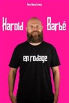 Harold Barbé - Le Pont de Singe