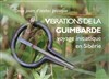 Vibrations de la guimbarde : voyage initiatique en Sibérie - Gaïa Lithothérapie