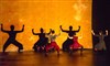 Le Chant du Pied, Voyage en Kathakalie - Théâtre du Soleil - Petite salle - La Cartoucherie