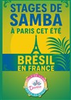 Stages de samba d'été : cours de danses brésiliennes - École de danse Kim Kan