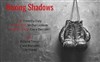 Boxing Shadows - Théâtre Coluche