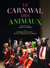 Le Carnaval des Animaux - Théâtre Le Blanc Mesnil - Salle Barbara