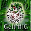 Celt'Hic pour la St Patrick ! - Centre d'animation de la Grange aux Belles