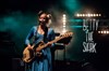 Betty the shark - Luna Negra
