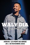 Waly Dia - Le Pont de Singe