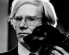 Conférence Andy Warhol - Les plumes du Paon
