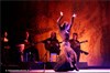 Cabaret Flamenco - Salle Mère Marie Pia