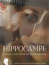 Hippocampe - Théâtre Métro Ateliers