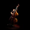 Avishai Cohen Quintet - Le Trianon