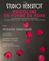 Pasolini en forme de rose - Studio Hebertot