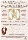 Ensemble vocal Aura Juvenis - Eglise des Billettes