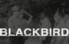 Blackbird - Théâtre de Vanves