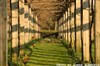 Cours d'image et création photo au jardin de Bercy - Métro Bercy