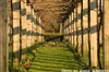 Cours d'image et création photo au jardin de Bercy - Métro Bercy