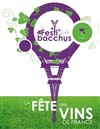 Festi'Bacchus - Salon des vins - Paris Bercy Village