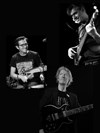 Yannick Robert / Gilles Coquard / Franck Agulhon : Trio Nuevo - Le Baiser Salé