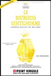 Le Bourgeois Gentilhomme - Le Point Virgule