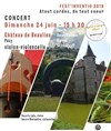 Duo violon-violoncelle - Château de Beaulieu