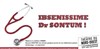 Ibsenissime Dr Sontum - Théâtre du Nord Ouest