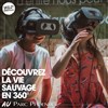 Wild Immersion : Une expérience éducative et immersive unique pour se connecter aux animaux en 360° - Parc Phoenix