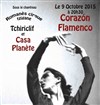 Corazon Flamenca - Chapiteau du Cirque Romanès - Paris 16