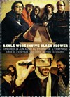 Akalé Wubé & Black Flower - Studio de L'Ermitage