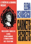 Elena Ceausescu, Carnets Secrets - Le Théâtre de la Girandole