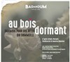 Au Bois dormant, fantaisie pour une belle qui sommeille - Badaboum théâtre