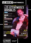 Les Ecchymoses invisibles - Guichet Montparnasse