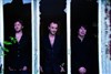 BoNObo-Trio - Sunside