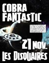 Cobra Fantastic - Les Disquaires