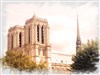 Visite guidée : Notre-Dame de Paris - Cathédrale Notre-Dame de Paris