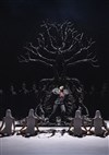 Lully : Atys - Opéra Royal - Château de Versailles